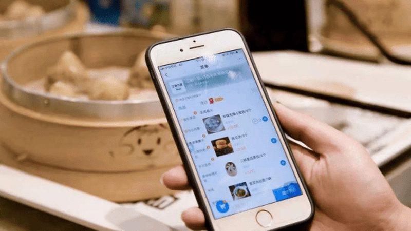 上海搬家宠物托运：如何选择合适的托运服务？**
